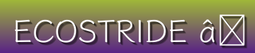 Sustainable Sneakers, Vegan Boots, Heels, Flats & More | EcoStride